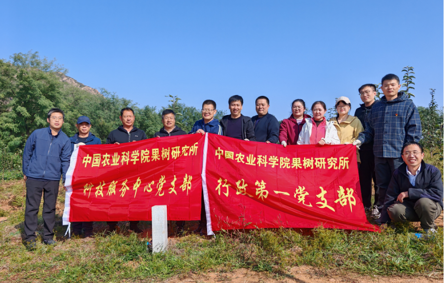 图片2.png