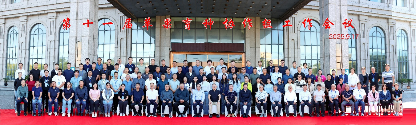 图片5.png