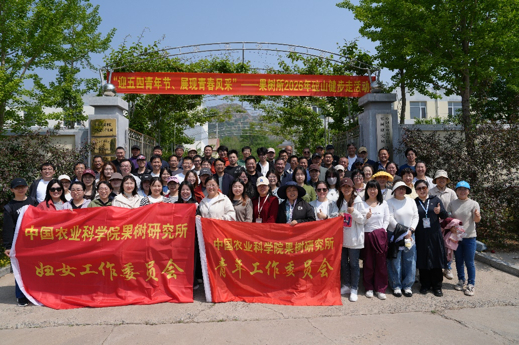 图片5.png